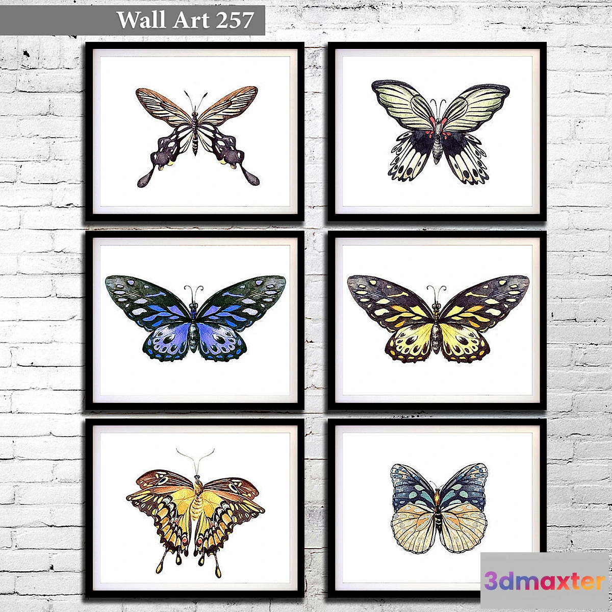 657251 - Pictures 257