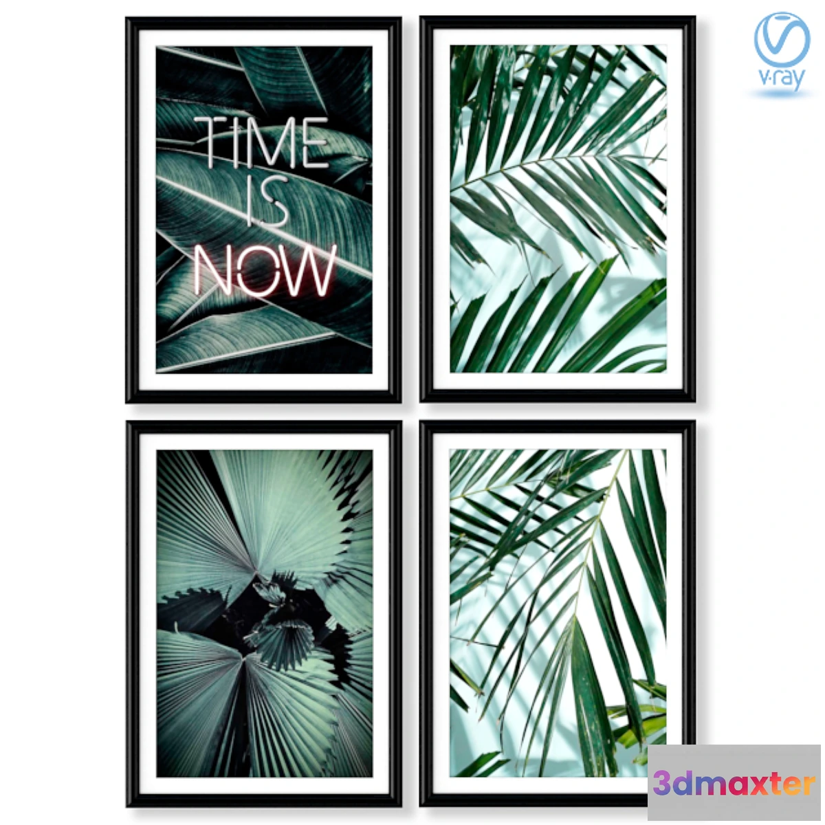 657289 - Collection of posters with palm leaves.