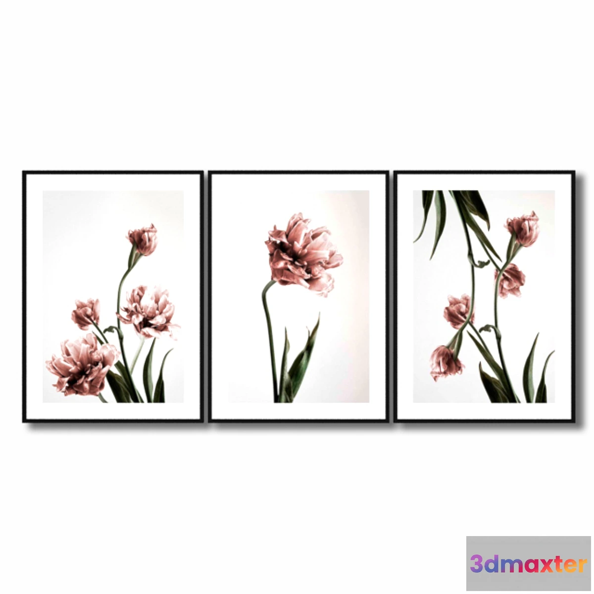 657297 - Posters with pink tulips.