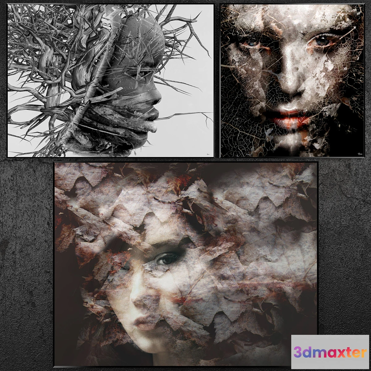 659747 - Posters abstract  set 28