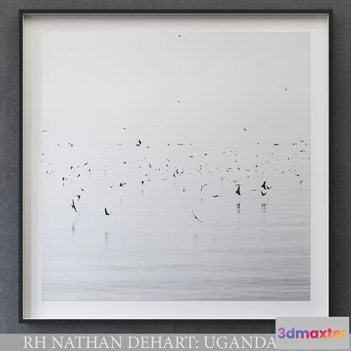 669129 - NATHAN DEHART UGANDA BIRDS