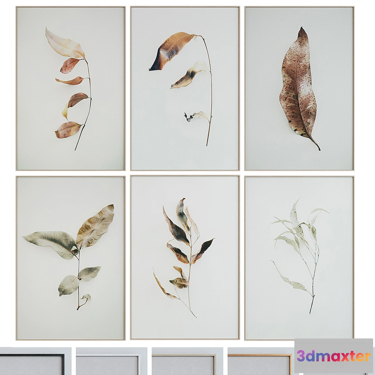 682084 - Picture Frame Set 1005