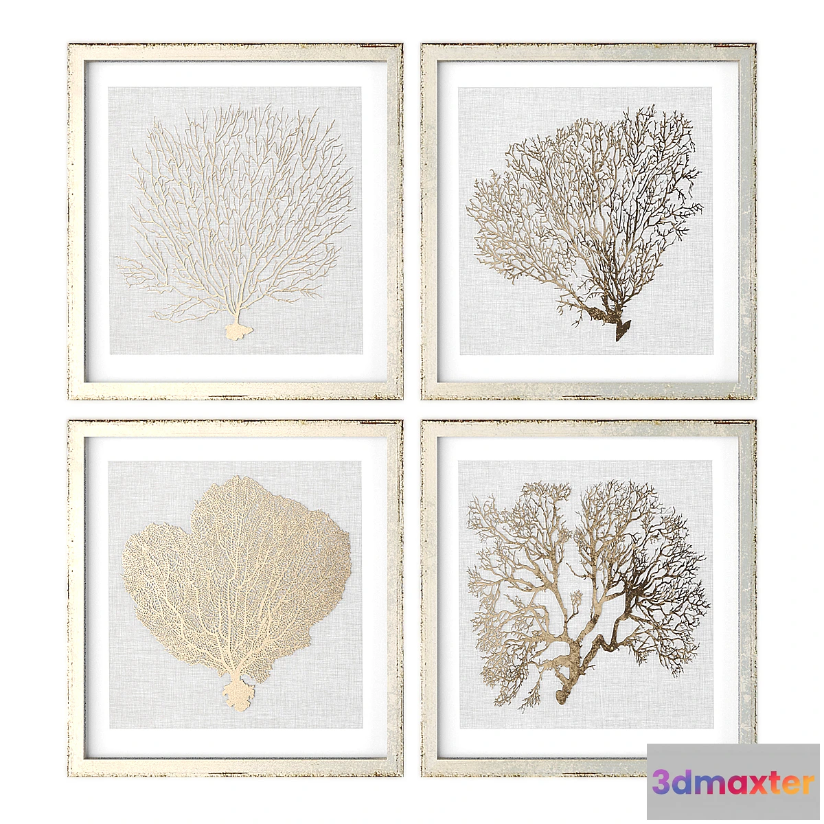 704876 - Pictures944