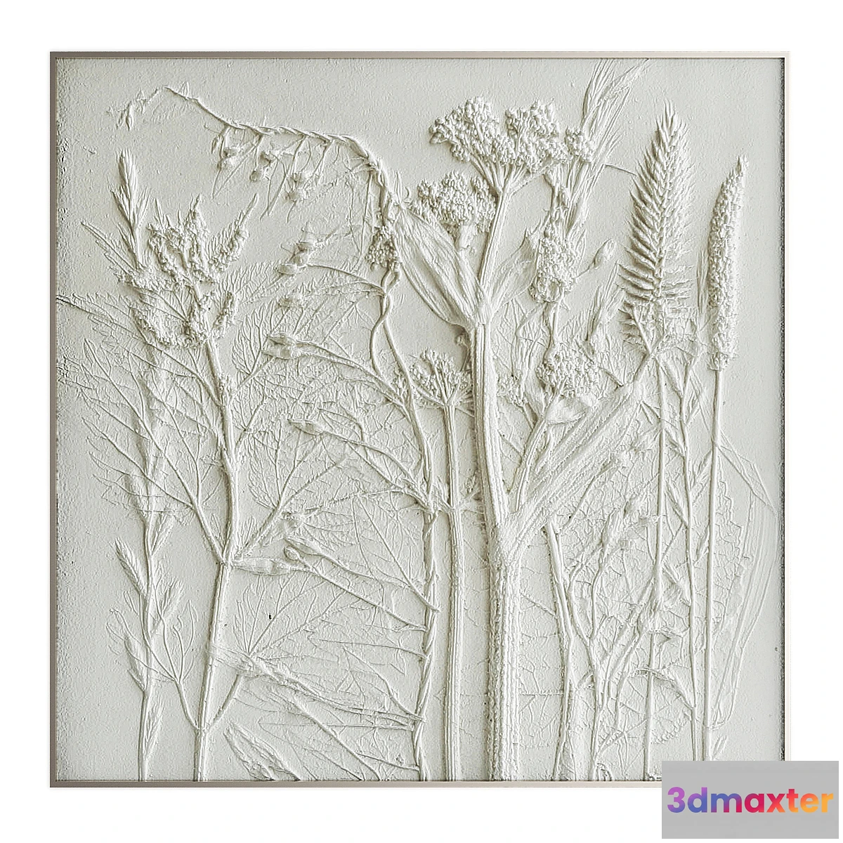 705014 - Pictures925