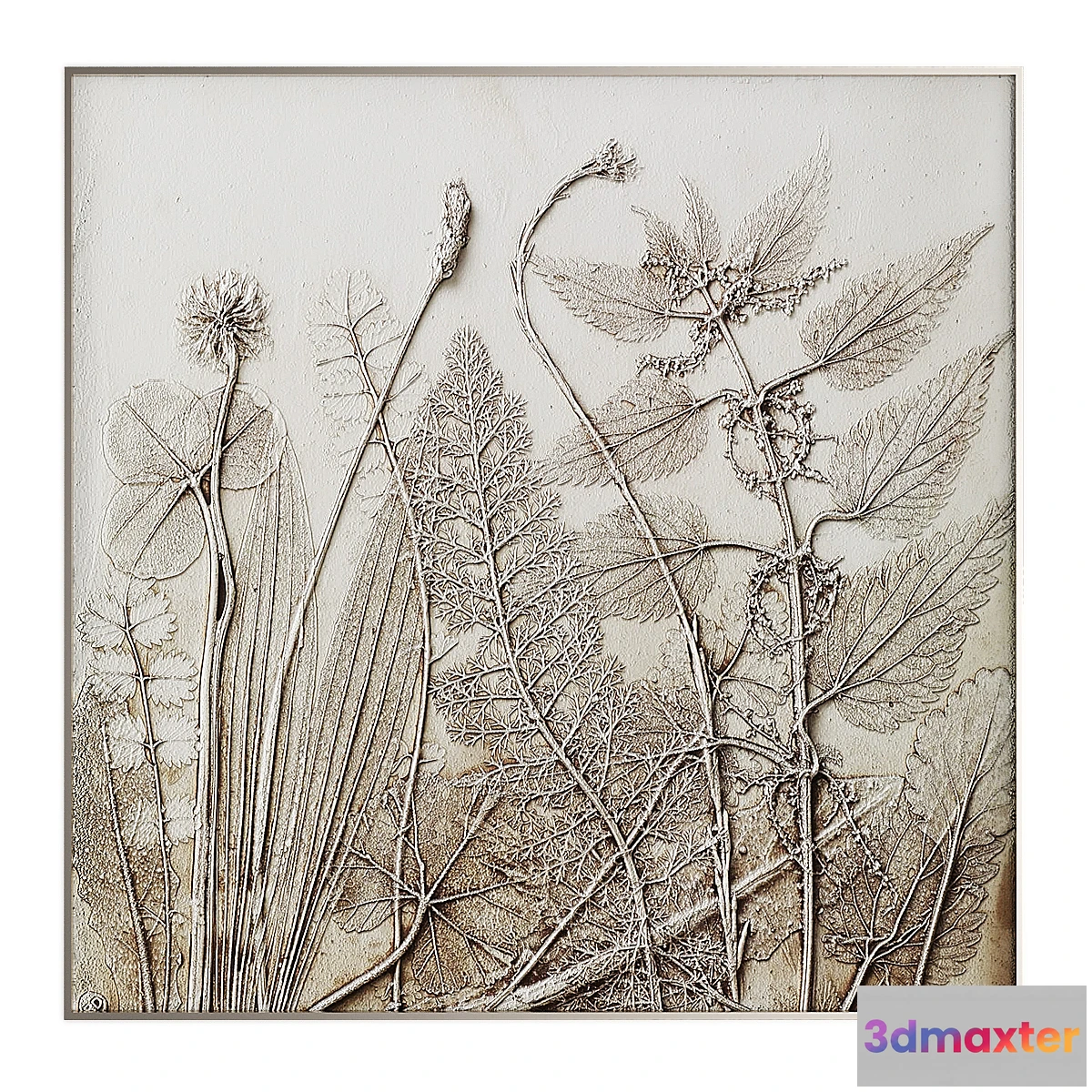 705024 - Pictures915