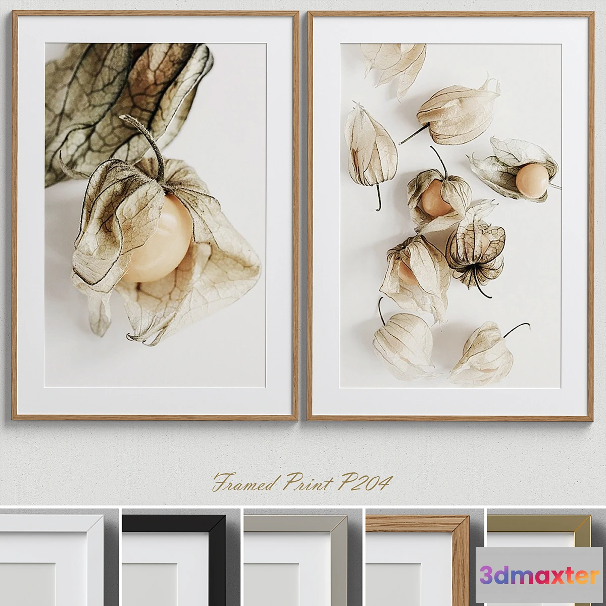 723212 - Framed Print P-204 - No.2