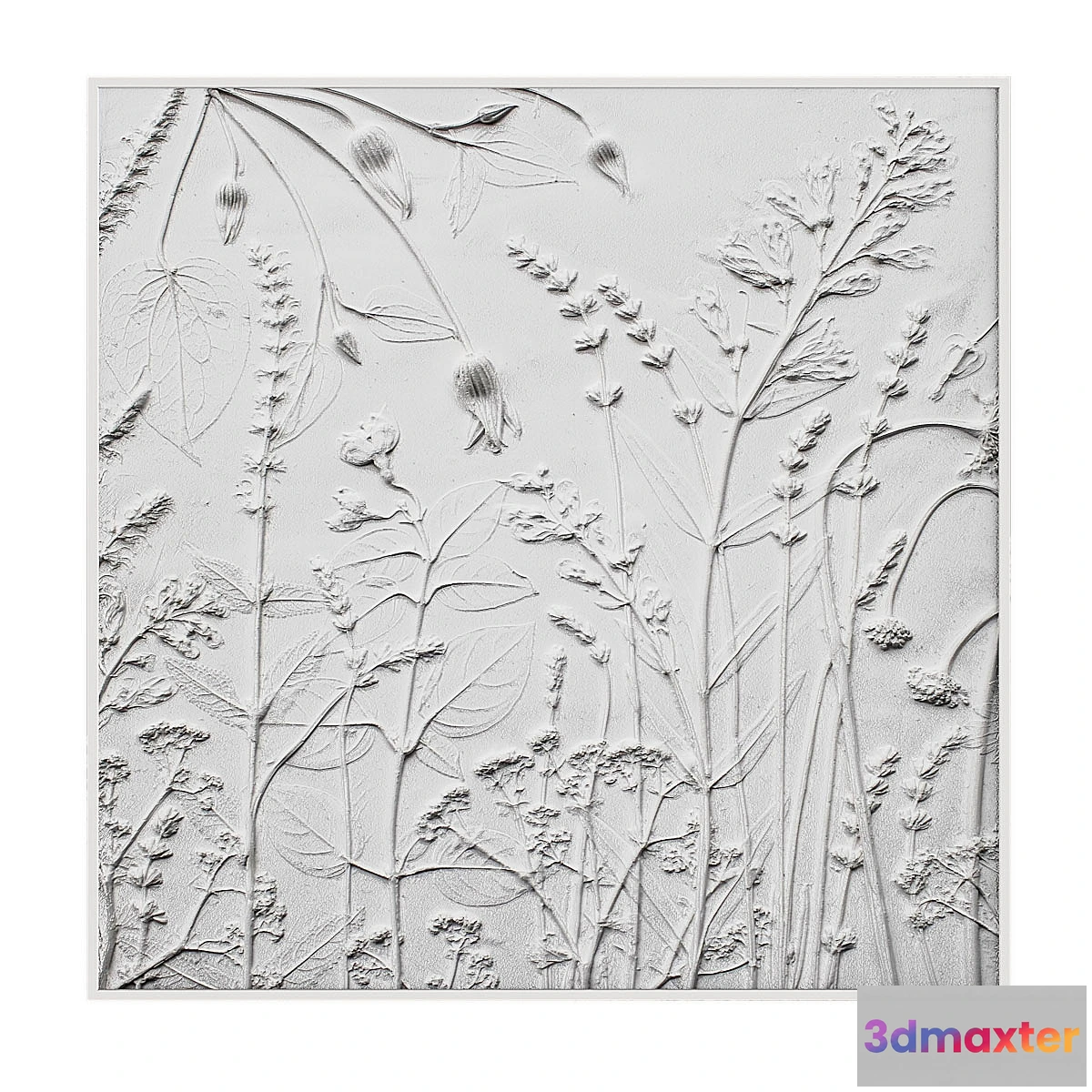 769703 - Pictures889