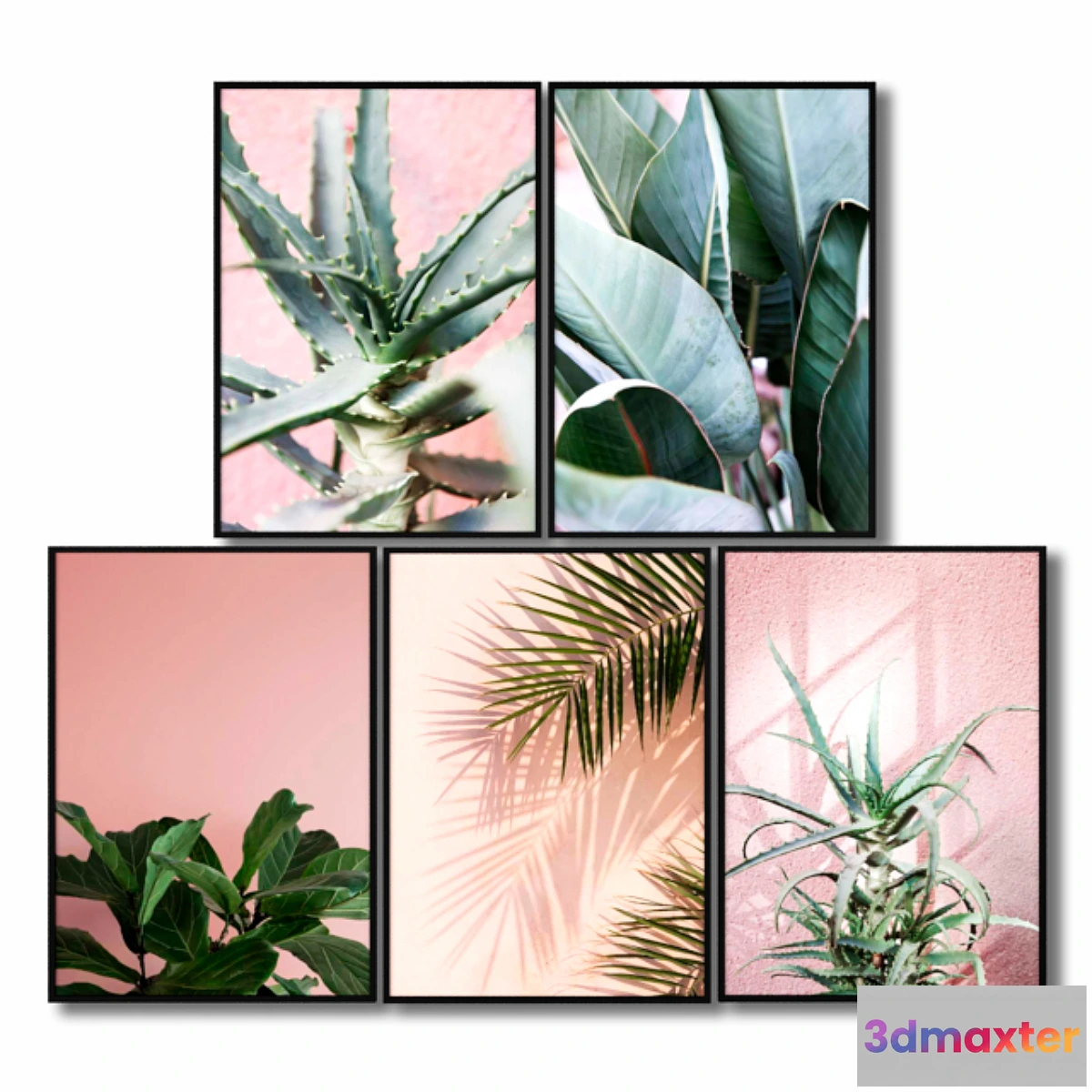 804790 - Posters with pink plants. - No.2