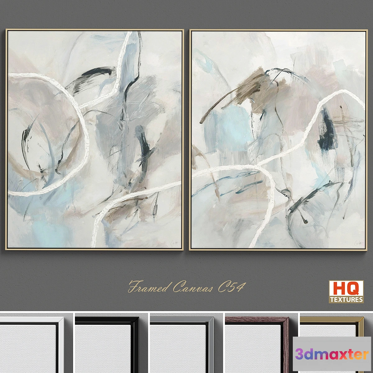 827704 - Framed Canvas C-54 - No.3