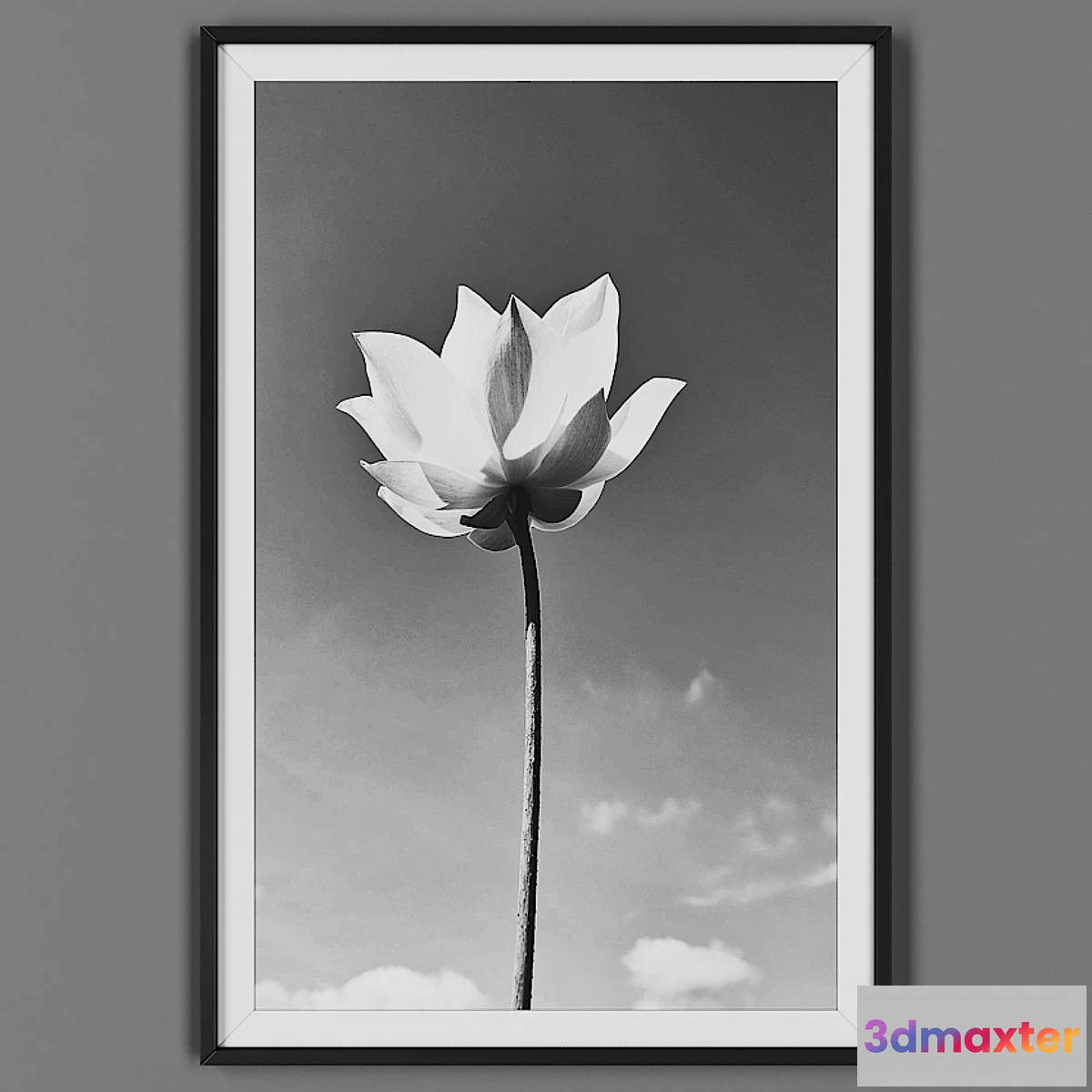 827760 - Picture frame 00032-39 - No.3