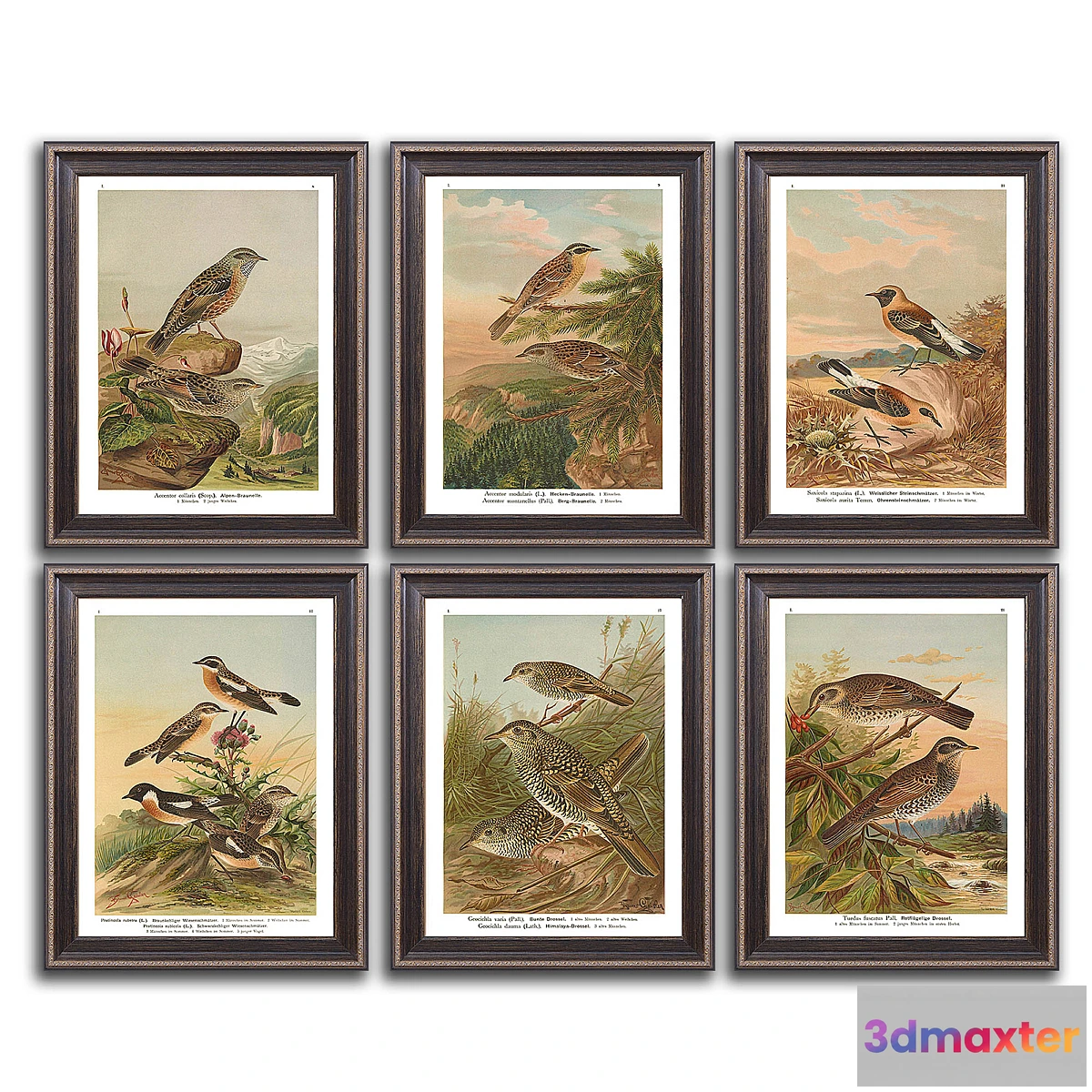 827880 - Paintings 460 - No.3