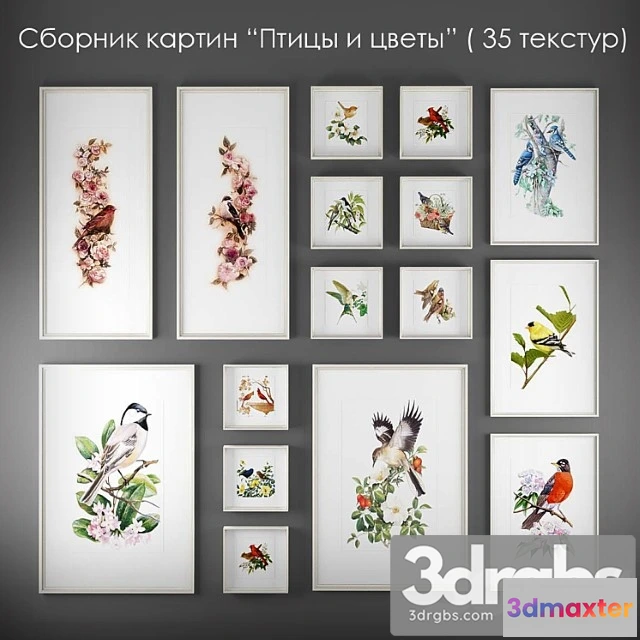 926028 - Collection of Paintings Birds and Flowers