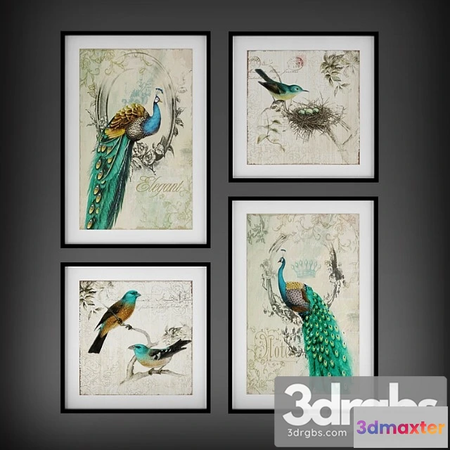 926030 - Collection of Paintings Birds