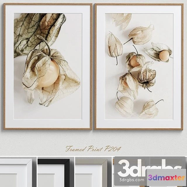 926166 - Framed print p-204
