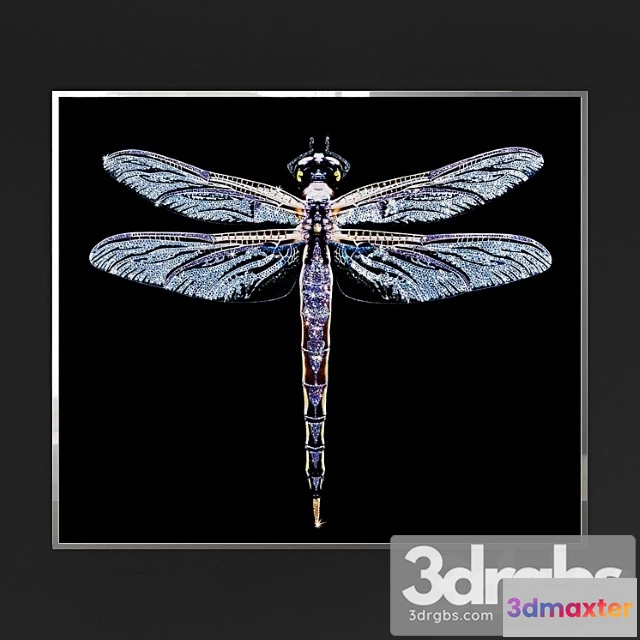 926274 - Ipe cavalli visionnaire lybra