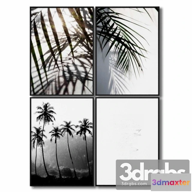 926360 - Life Is Frame