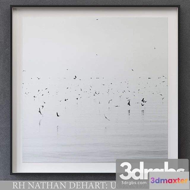 926386 - Nathan Dehart Uganda Birds