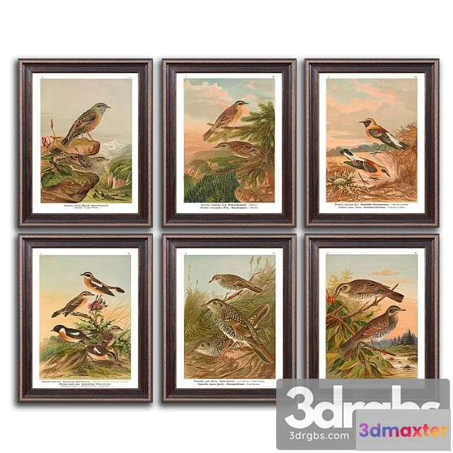 926520 - Paintings 460