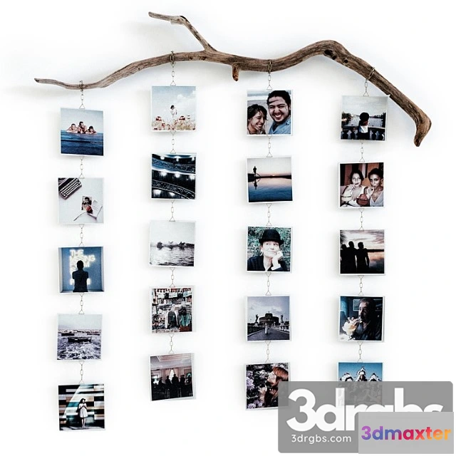 926602 - Photo Branch