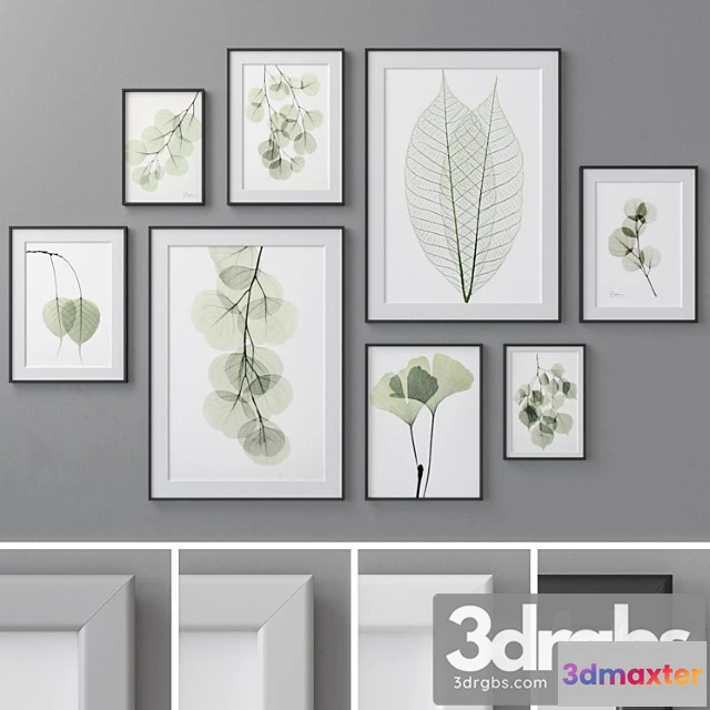 926630 - Photo frames set 462