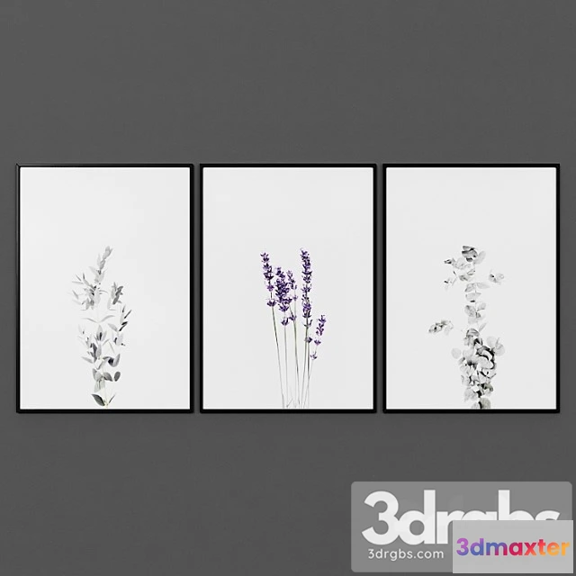 926776 - Picture Set 00054