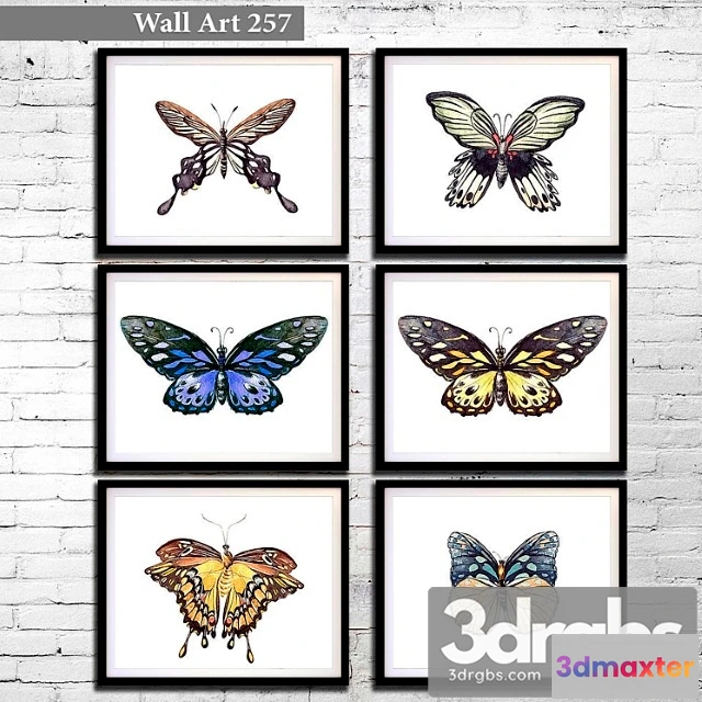 926818 - Pictures 257