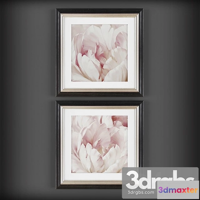 926908 - Pictures375