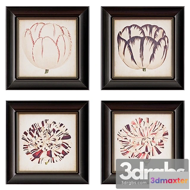 926990 - Pop Floral Framed Wall Art Collection