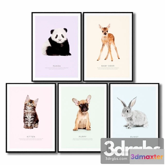 927004 - Posters For Childrens Room Animals