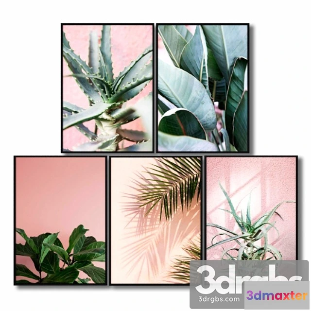 927022 - Posters with pink plants.