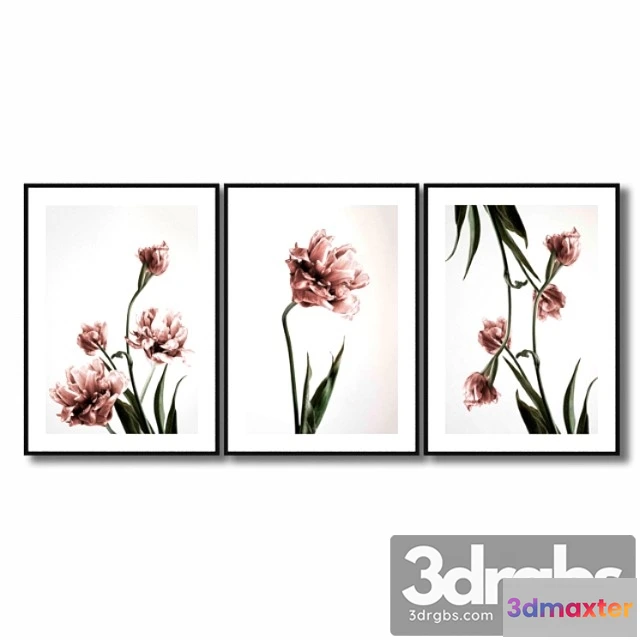 927024 - Posters with pink tulips.