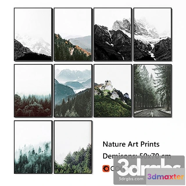 927082 - Set of 10 decor