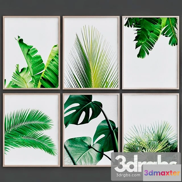 927212 - Tropical leaves