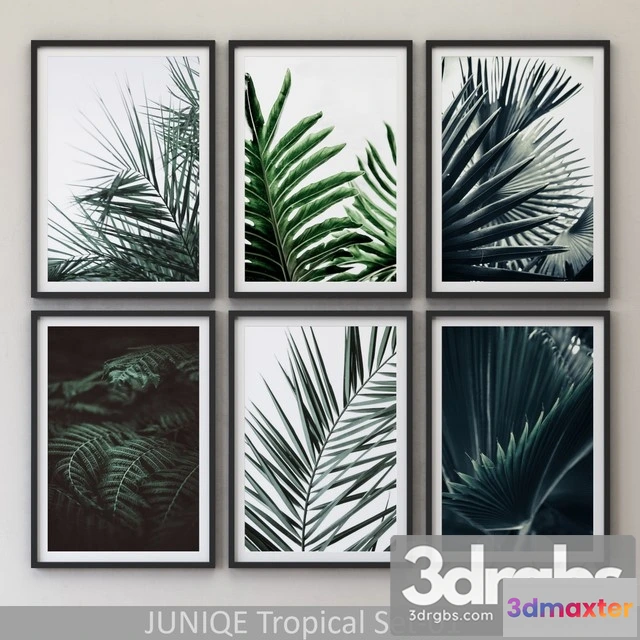 927214 - Tropical Set 01 Framed