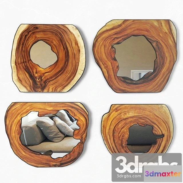 1021070 - Organic monkey pod mirrors 3