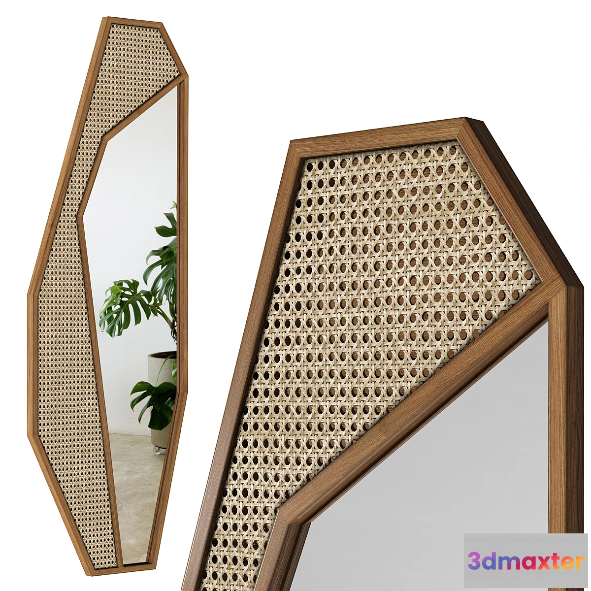 1396322 - Mirror Rattan Cactus _ Cactus 3D Max