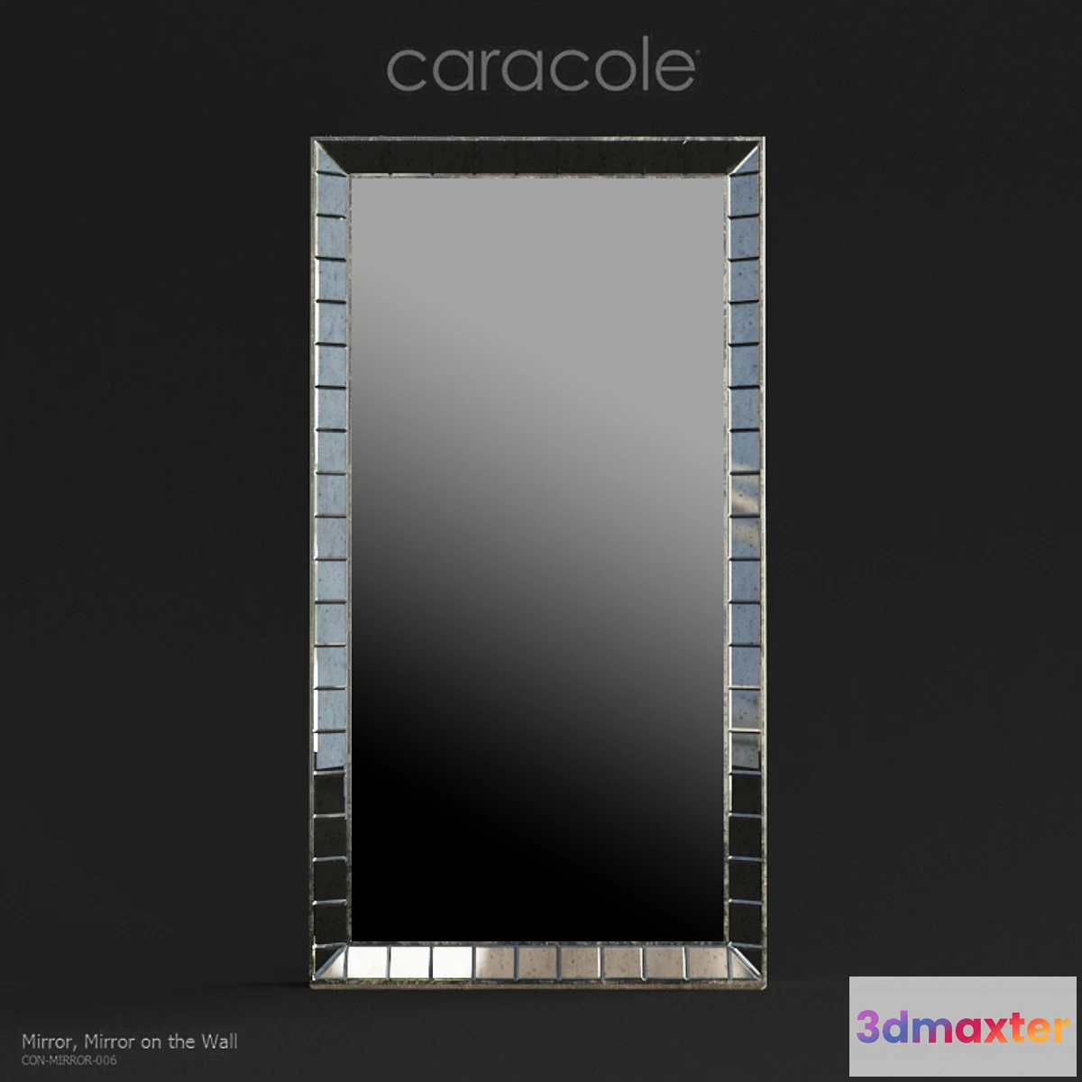 811626 - Caracole Classic Mirror on the Wall - No.2