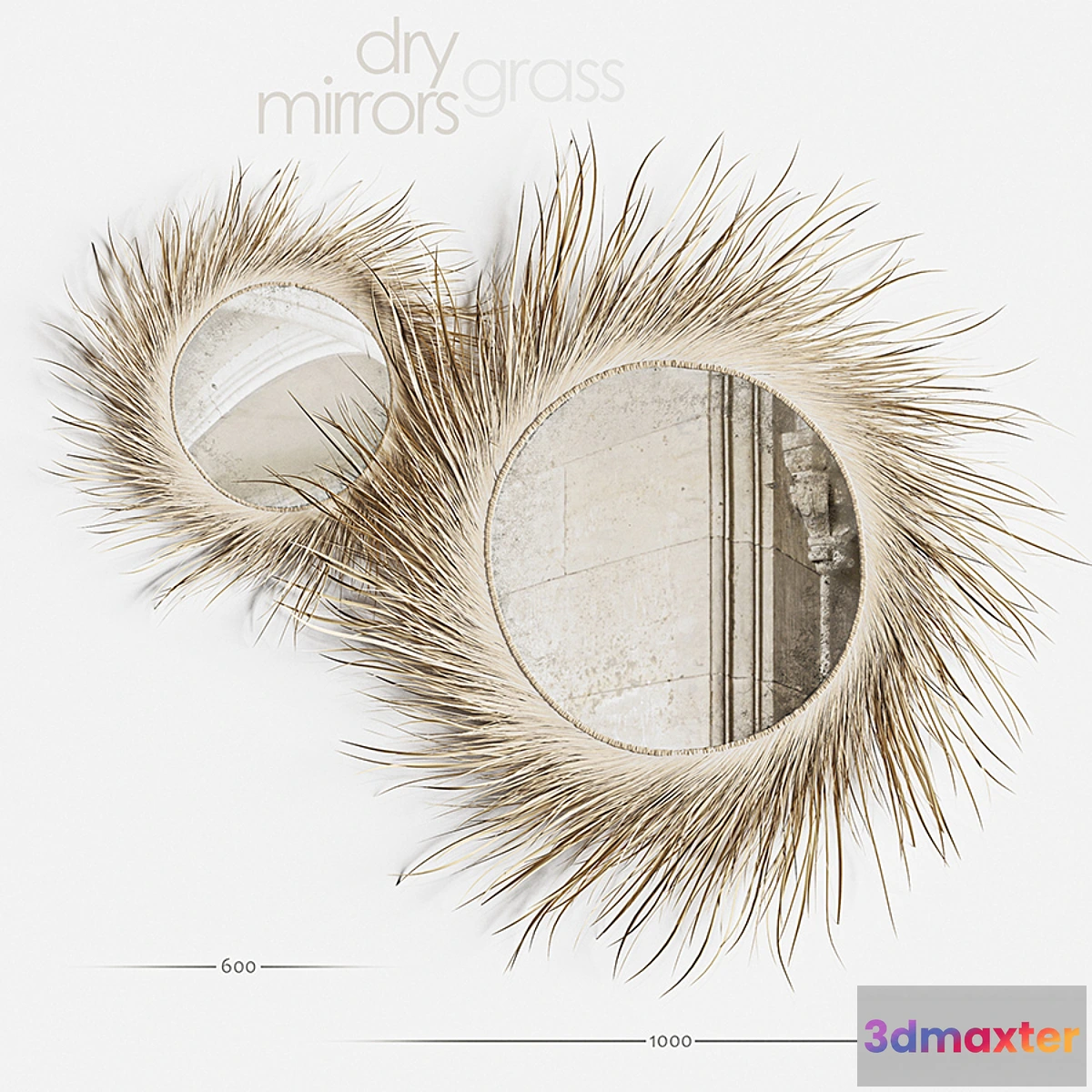 869905 - Mirror Dry Grass - No.4