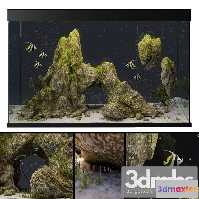 1021208 - Aquarium with rocks and moss