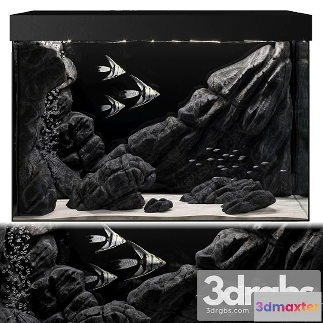 1021210 - Aquarium - No.2