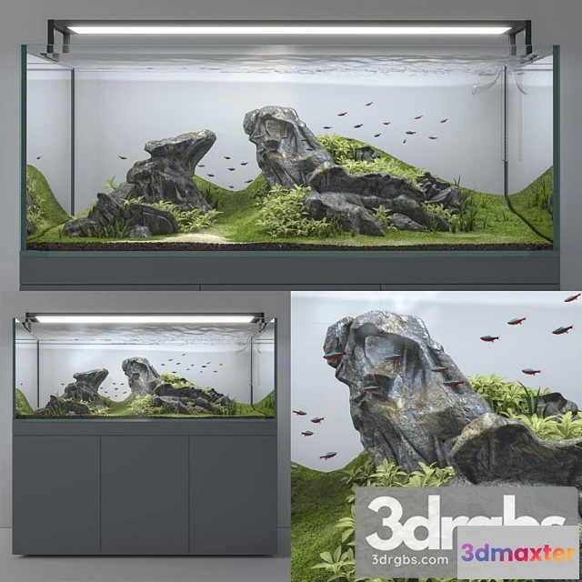 1021212 - Aquascape aquarium