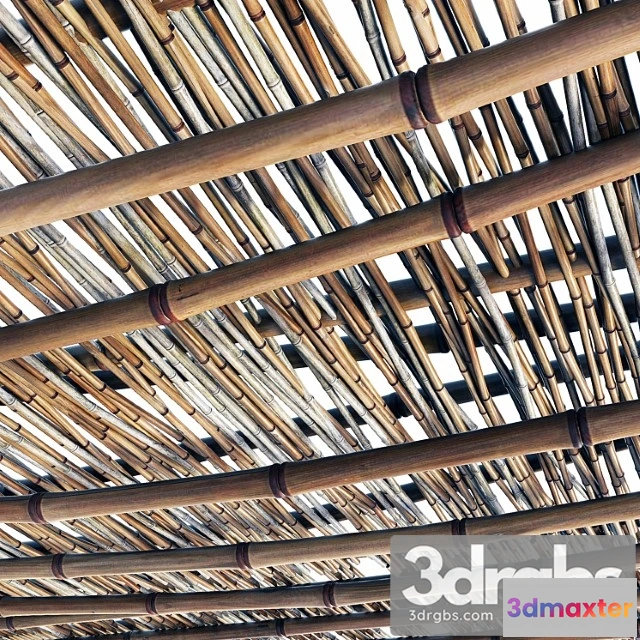 1021278 - Branch bamboo long low n2