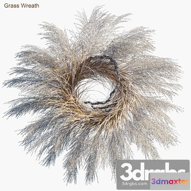1021688 - Grass wreath