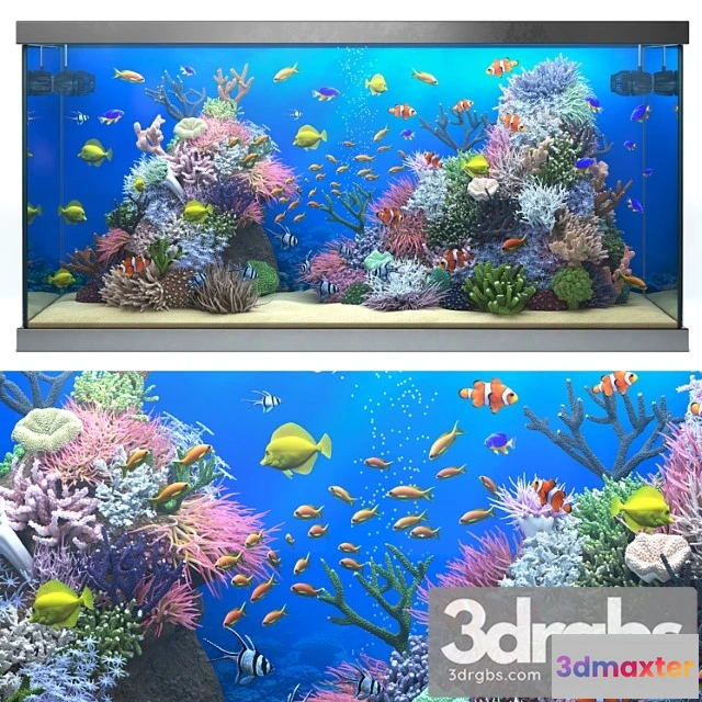 1022038 - Seawater aquarium 1