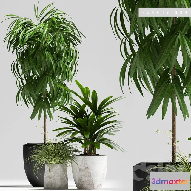 1068564 - 3DMAX PRO MODELS - 936