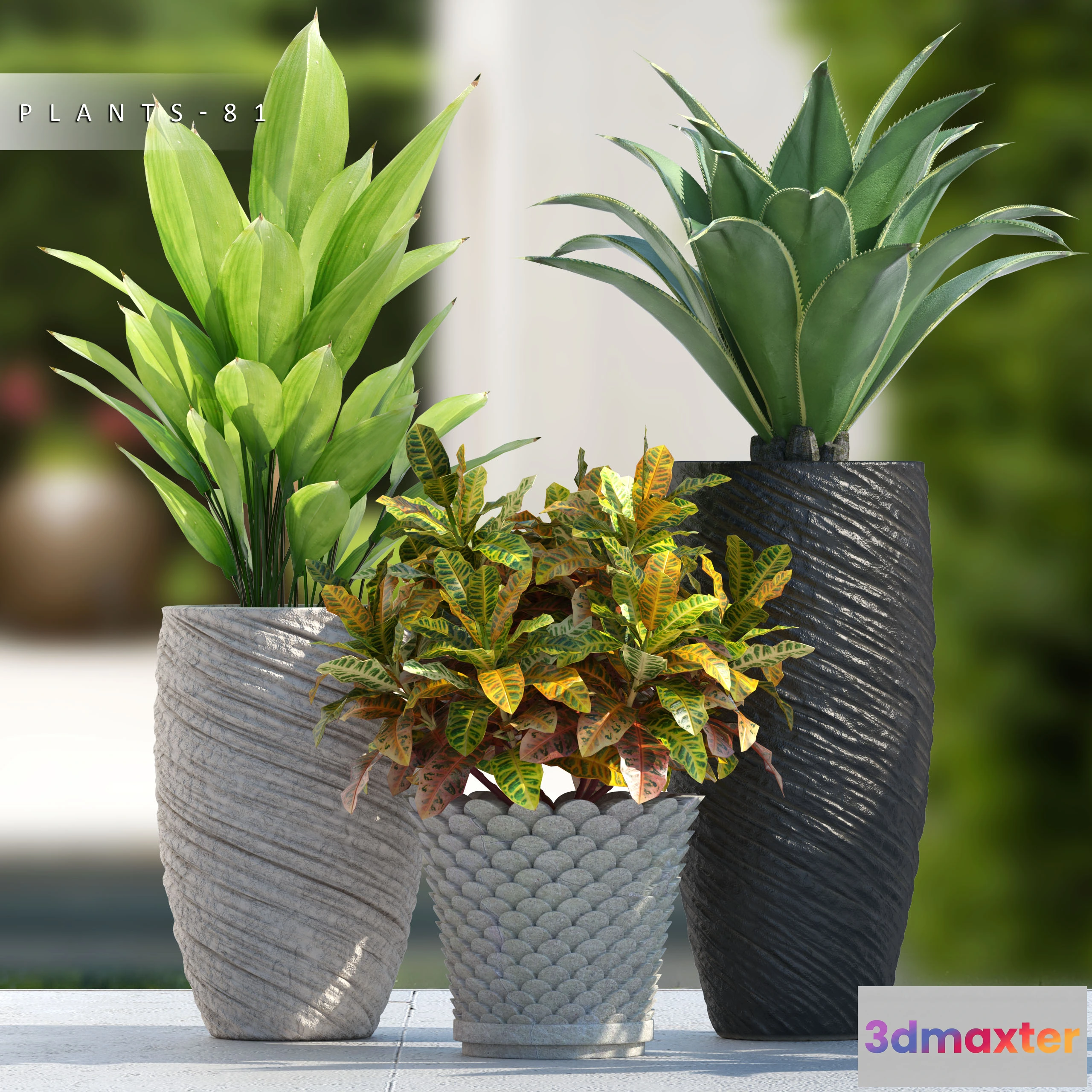 1068984 - 3DMAX PRO MODELS - 1146