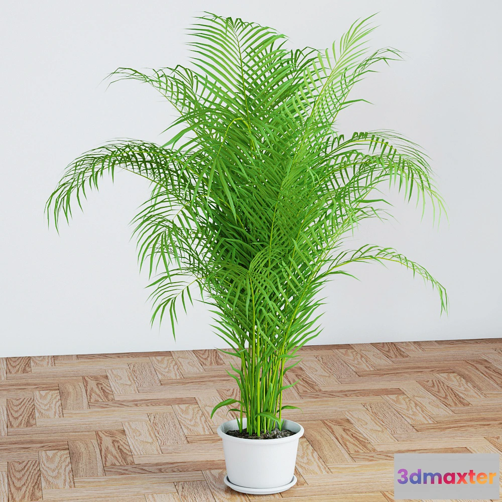 1069170 - 3DMAX PRO MODELS - 1239