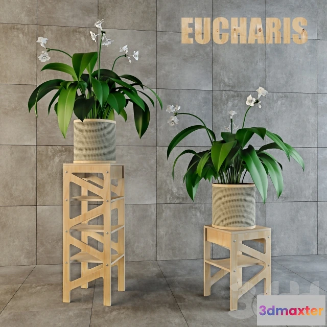 1069176 - 3DMAX PRO MODELS - 1242