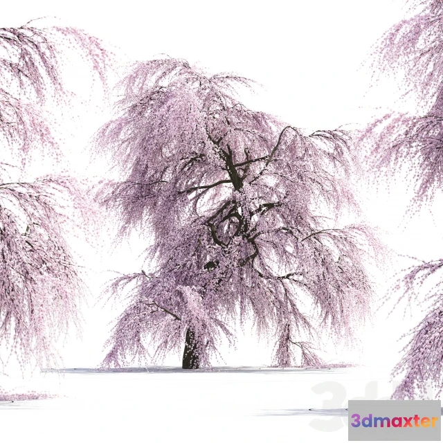 1069350 - 3DMAX PRO MODELS - 1329