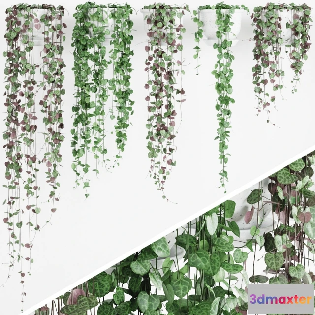 1069376 - 3DMAX PRO MODELS - 1342